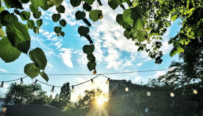 Duurzaam Dijklandhoeve - zaterdag 14 juni 2025